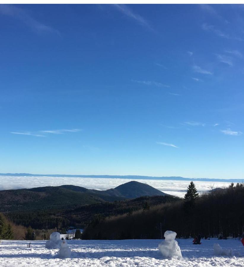 Gite Magnolia Chatenois Alsace エクステリア 写真